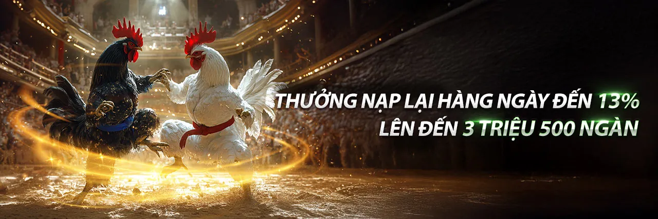 Đá gà trực tuyến kịch tính tại winwin bet