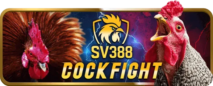 Đội ngũ hỗ trợ khách hàng 24/7 của winwin bet
